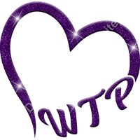 GLT36 PURPLE GLITTER Thumbnail